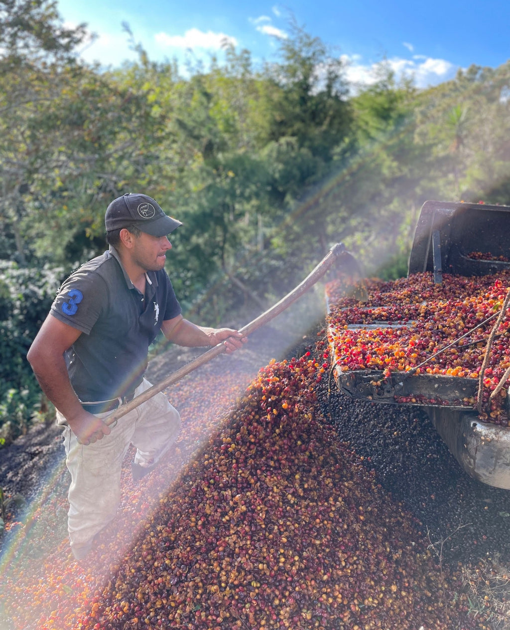 Pache San Ramon - Guatemala