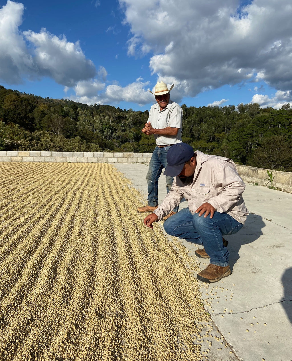 Pache San Ramon - Guatemala