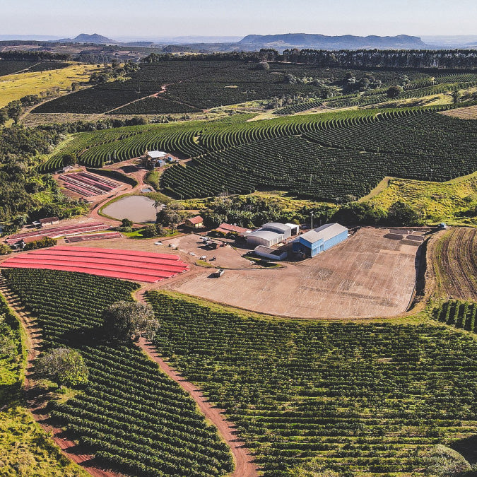 Brazil - Fazenda Santa Monica
