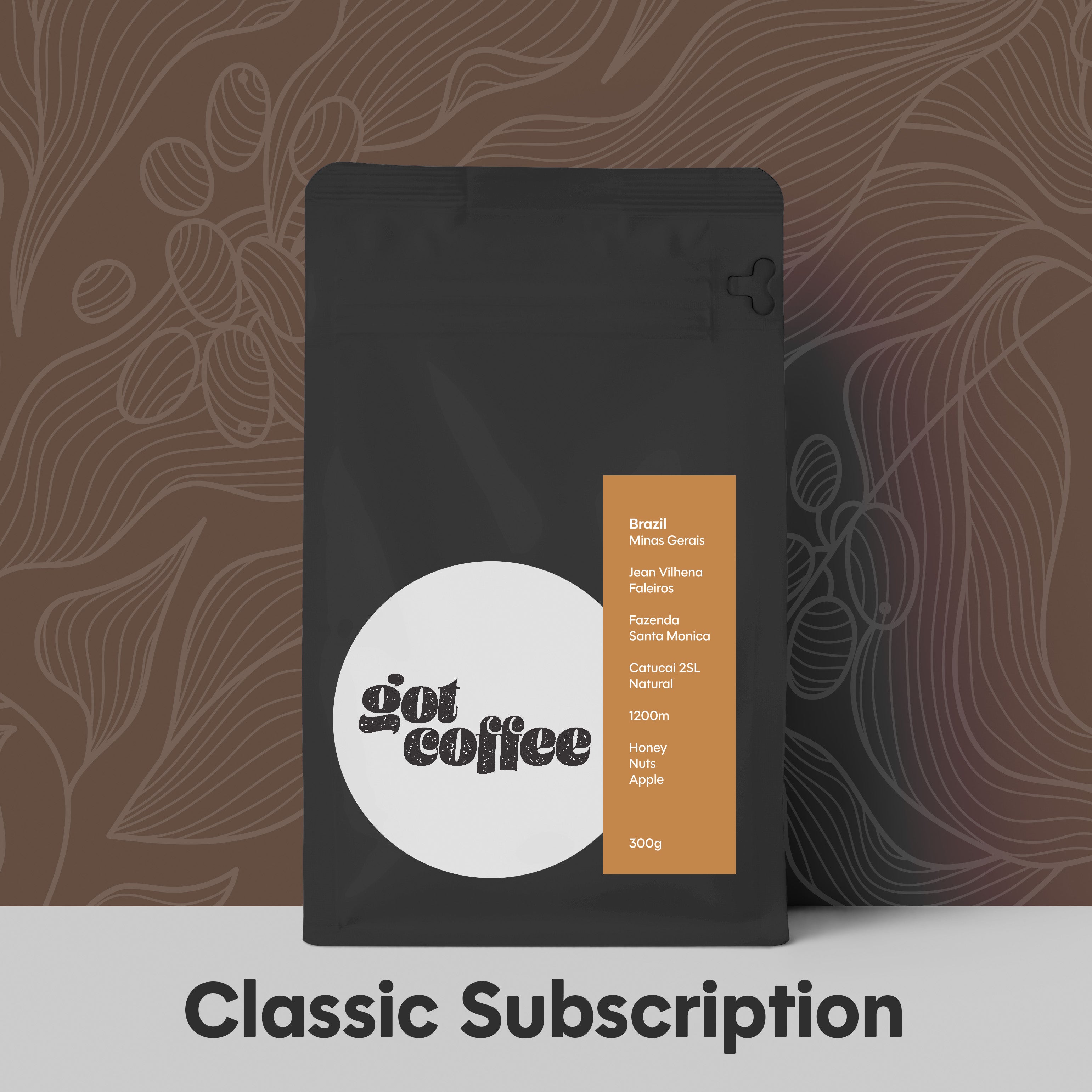 Classic Subscription