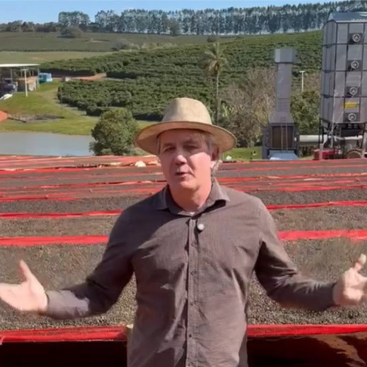 Brazil - Fazenda Santa Monica